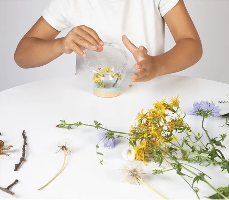 La sélection du Printemps