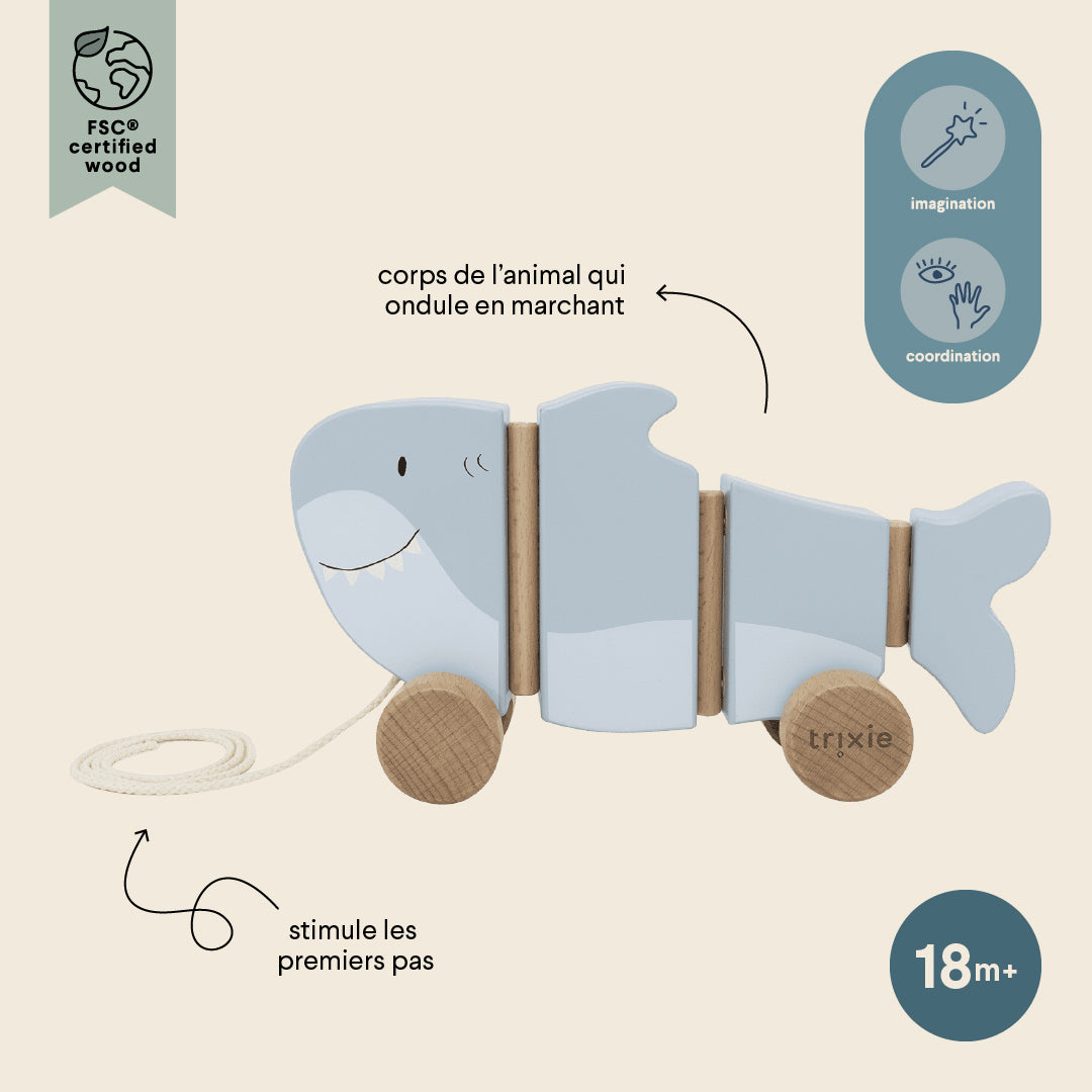Infographie française du jouet à tirer ondulant Mr. Shark Trixie