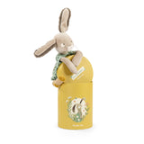 Poupée lapin sauge en boîte - Trois petits lapins - Moulin Roty