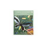 Cartes fantastiques Tout autour du monde - Moulin roty