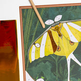 Cartes fantastiques Tout autour du monde - Moulin roty