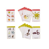 Jeu de 7 familles Tout autour du monde - Moulin roty