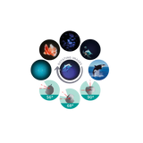 Projecteur d'images Océan et mers - Kidystar - Kidywolf