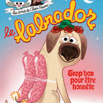 Livre Le Labrador - École des Loisirs