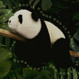 Peluche lestée Panda Bao 32 cm - Histoire d'Ours