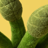 Jellycat - Peluche Asperges - Amuseables Asparagus