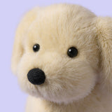 Peluche Chien - Golden Puppy - Jellycat